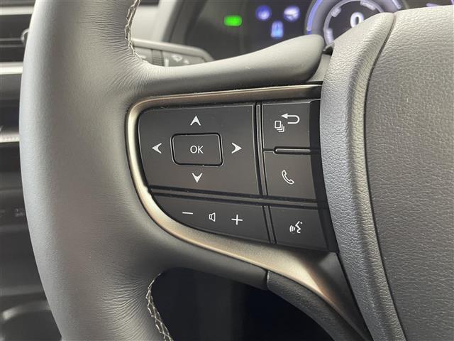 UX UX250h バージョンC パノラミックビューモニター BSM 純正10.3型メーカーナビ 合皮シート シートヒーター ポジションメモリー機能付パワーシート 追従クルーズコントロール LEDヘッドライト ETC2.0 禁煙車(23枚目)