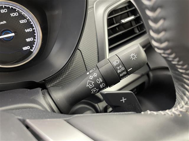 フォレスター アドバンス　アイサイトセイフティプラス（視界拡張／運転支援）　シルバールーフレール　純正８インチナビ　バックカメラ　純正ドライブレコーダー　パワーバックドア　ＥＴＣ　前席／後席左右シートヒーター　衝突軽減　禁煙車（24枚目）