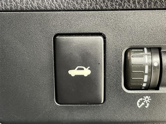 86 GT クルーズコントロール パドルシフト ワンオーナー 純正7インチSDナビ トムズテールライト 純正リアバンパーガーニッシュカバー 社外トランクスポイラー 社外グリル MTモード付AT ETC 禁煙車(24枚目)