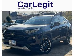 �ң��֣� ���ɥ٥���㡼���ԣңĥ롼�ե���ꥢ���ѥΥ�ޥ롼�ա�������������ʥӡ��Хå������ 0541717A30251210W002 2