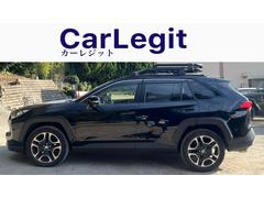 �ң��֣� ���ɥ٥���㡼���ԣңĥ롼�ե���ꥢ���ѥΥ�ޥ롼�ա�������������ʥӡ��Хå������ 0541717A30251210W002 3