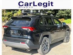 �ң��֣� ���ɥ٥���㡼���ԣңĥ롼�ե���ꥢ���ѥΥ�ޥ롼�ա�������������ʥӡ��Хå������ 0541717A30251210W002 6