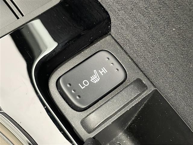 オデッセイ アブソルート・ＥＸ　１０インチナビ　ＴＶ　マルチビューカメラ　両側パワースライドドア　ハーフレザー　パワーシート　シートヒーター　衝突軽減　レーンキープサポート　ブラインドスポット　ＥＴＣ　コーナーセンサー　ＬＥＤライト（32枚目）