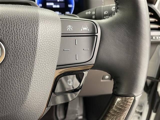 アルファードハイブリッド エグゼクティブラウンジ 純正DA パノラミックミューモニター フリップダウンモニター トヨタセーフティセンス 左右独立ムーンルーフ JBLスピーカー 左右ユニバーサルステップ パワーサンシェード デジタルインナーミラー(21枚目)