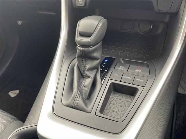ＲＡＶ４ Ｘ　純正ナビ　フルセグ　ＢＴ　衝突軽減　ルーフレール　レーダークルーズ　キープレーン　クリアランスソナー　前後ドラレコ　ＬＥＤライト　ビルトインＥＴＣ　プッシュスタート　オートマチックハイビーム　ＴＶ（29枚目）