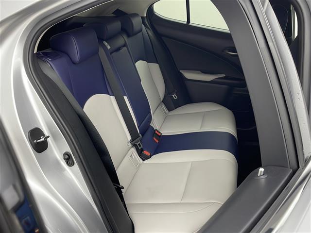 UX UX200 バージョンC 純正ナビ TV バックカメラ ETC ドライブレコーダー レーダークルーズコントロール プリクラッシュセーフティ レーンキープアシスト オートマチックハイビーム LEDヘッドライト シートヒーター(10枚目)