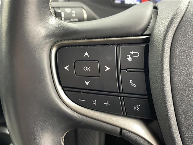 UX UX200 バージョンC 純正ナビ TV バックカメラ ETC ドライブレコーダー レーダークルーズコントロール プリクラッシュセーフティ レーンキープアシスト オートマチックハイビーム LEDヘッドライト シートヒーター(19枚目)