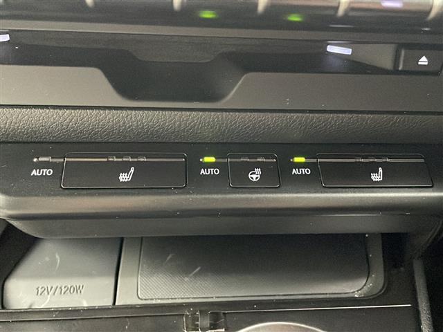 UX UX200 バージョンC 純正ナビ TV バックカメラ ETC ドライブレコーダー レーダークルーズコントロール プリクラッシュセーフティ レーンキープアシスト オートマチックハイビーム LEDヘッドライト シートヒーター(30枚目)