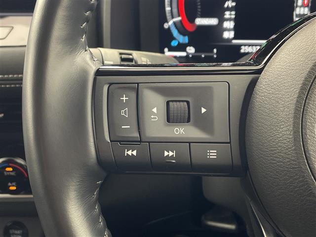 エクストレイル Ｘ　・プロパイロット・デジタルインナーミラー・１２．３インチメーカーナビ＆フルセグ＆ＢＴ＆ＵＳＢ・アラウンドビューモニター・純正前後ドライブレコーダー・ステアリングリモコン・ステアリングヒーター・ＥＴＣ（16枚目）