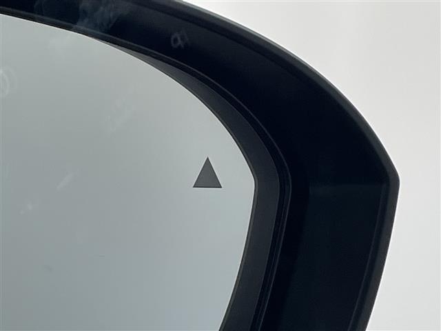 エクストレイル Ｘ　・プロパイロット・デジタルインナーミラー・１２．３インチメーカーナビ＆フルセグ＆ＢＴ＆ＵＳＢ・アラウンドビューモニター・純正前後ドライブレコーダー・ステアリングリモコン・ステアリングヒーター・ＥＴＣ（35枚目）