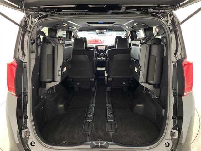 アルファード 2.5S タイプゴールド 純正9インチナビ TV バックカメラ 12.1インチフリップダウンモニター 両側パワースライドドア パワーバックドア デジタルインナーミラー ドライブレコーダー レーダークルーズコントロール ETC(17枚目)