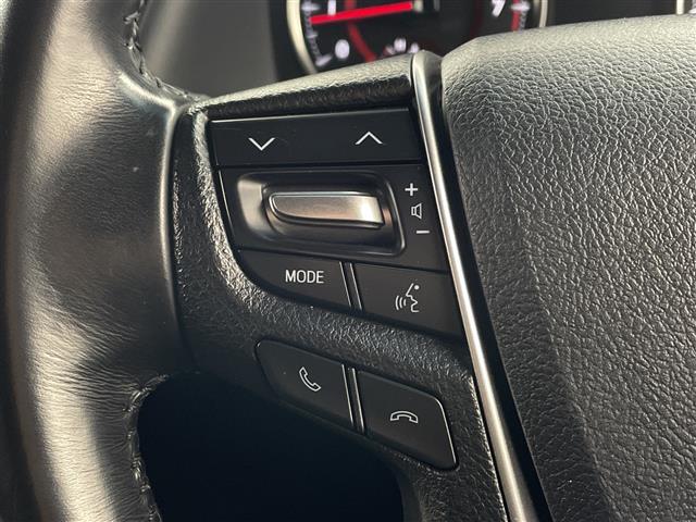 アルファード 2.5S タイプゴールド 純正9インチナビ TV バックカメラ 12.1インチフリップダウンモニター 両側パワースライドドア パワーバックドア デジタルインナーミラー ドライブレコーダー レーダークルーズコントロール ETC(20枚目)