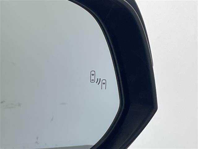 アルファード 2.5S タイプゴールド 純正9インチナビ TV バックカメラ 12.1インチフリップダウンモニター 両側パワースライドドア パワーバックドア デジタルインナーミラー ドライブレコーダー レーダークルーズコントロール ETC(35枚目)