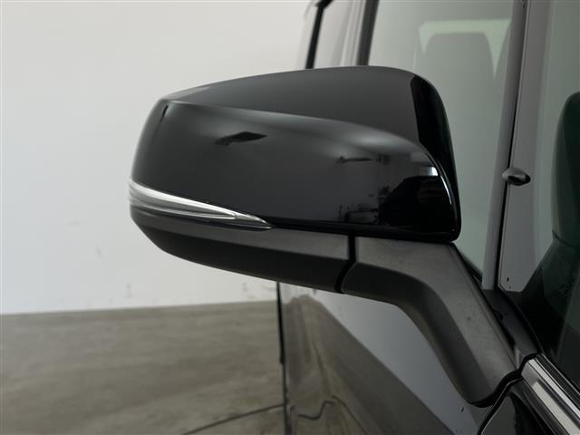 アルファード 2.5S タイプゴールド 純正9インチナビ TV バックカメラ 12.1インチフリップダウンモニター 両側パワースライドドア パワーバックドア デジタルインナーミラー ドライブレコーダー レーダークルーズコントロール ETC(40枚目)