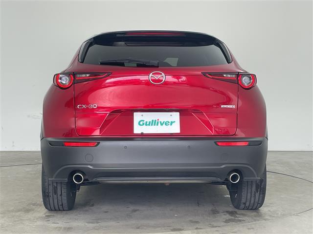 ＣＸ－３０ ＸＤ　ブラックトーンエディション　・純正ナビ＆フルセグ＆ＢＴ＆ＤＶＤ＆ＨＤＭＩ＆ＵＳＢ・３６０°モニター・パワーバックドア・スマートキー・ＥＴＣ・ＬＥＤライト・スマートブレーキサポート・ワンオーナー・純正前ドライブレコーダー（5枚目）