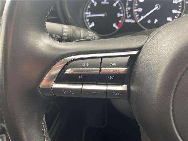 ＣＸ－３０ ＸＤ　ブラックトーンエディション　・純正ナビ＆フルセグ＆ＢＴ＆ＤＶＤ＆ＨＤＭＩ＆ＵＳＢ・３６０°モニター・パワーバックドア・スマートキー・ＥＴＣ・ＬＥＤライト・スマートブレーキサポート・ワンオーナー・純正前ドライブレコーダー（15枚目）