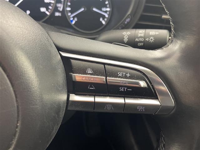 ＣＸ－３０ ＸＤ　ブラックトーンエディション　・純正ナビ＆フルセグ＆ＢＴ＆ＤＶＤ＆ＨＤＭＩ＆ＵＳＢ・３６０°モニター・パワーバックドア・スマートキー・ＥＴＣ・ＬＥＤライト・スマートブレーキサポート・ワンオーナー・純正前ドライブレコーダー（22枚目）