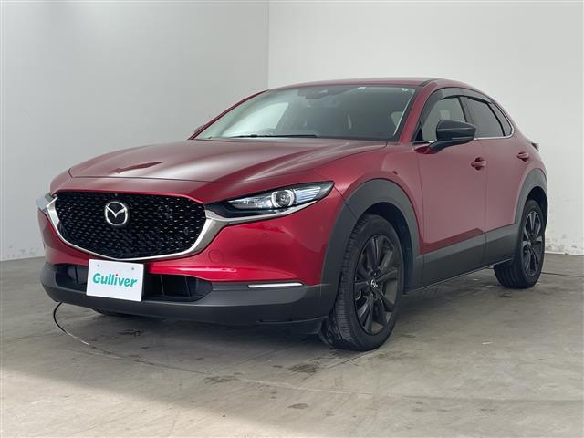 ＣＸ－３０ ＸＤ　ブラックトーンエディション　・純正ナビ＆フルセグ＆ＢＴ＆ＤＶＤ＆ＨＤＭＩ＆ＵＳＢ・３６０°モニター・パワーバックドア・スマートキー・ＥＴＣ・ＬＥＤライト・スマートブレーキサポート・ワンオーナー・純正前ドライブレコーダー（30枚目）