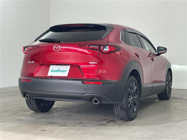 ＣＸ－３０ ＸＤ　ブラックトーンエディション　・純正ナビ＆フルセグ＆ＢＴ＆ＤＶＤ＆ＨＤＭＩ＆ＵＳＢ・３６０°モニター・パワーバックドア・スマートキー・ＥＴＣ・ＬＥＤライト・スマートブレーキサポート・ワンオーナー・純正前ドライブレコーダー（31枚目）