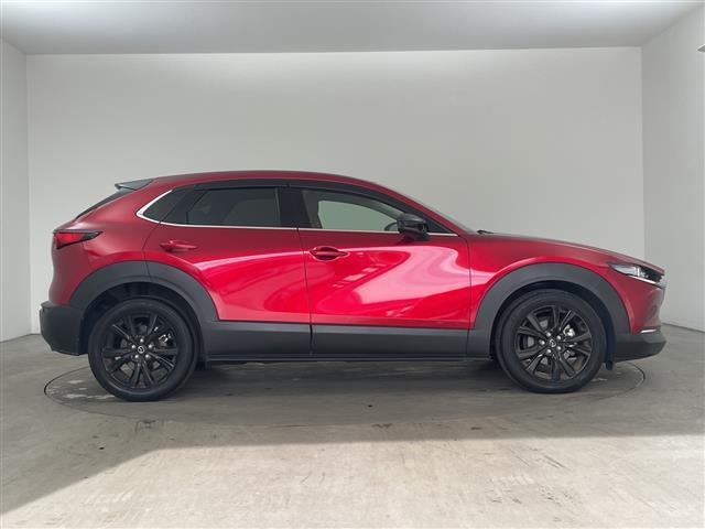 ＣＸ－３０ ＸＤ　ブラックトーンエディション　・純正ナビ＆フルセグ＆ＢＴ＆ＤＶＤ＆ＨＤＭＩ＆ＵＳＢ・３６０°モニター・パワーバックドア・スマートキー・ＥＴＣ・ＬＥＤライト・スマートブレーキサポート・ワンオーナー・純正前ドライブレコーダー（34枚目）