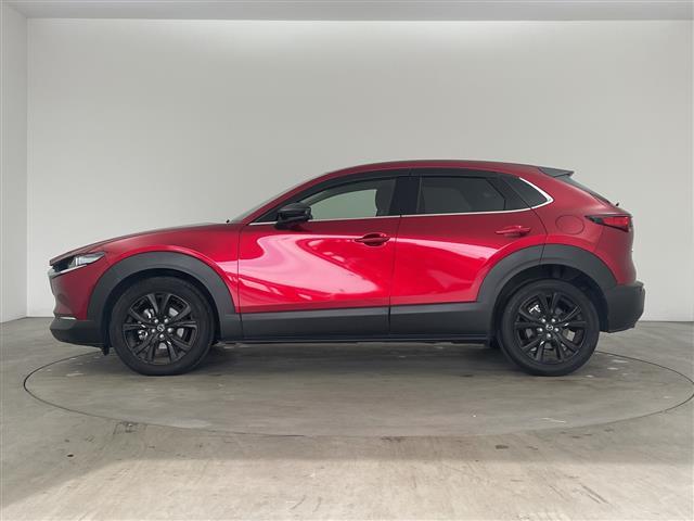 ＣＸ－３０ ＸＤ　ブラックトーンエディション　・純正ナビ＆フルセグ＆ＢＴ＆ＤＶＤ＆ＨＤＭＩ＆ＵＳＢ・３６０°モニター・パワーバックドア・スマートキー・ＥＴＣ・ＬＥＤライト・スマートブレーキサポート・ワンオーナー・純正前ドライブレコーダー（35枚目）