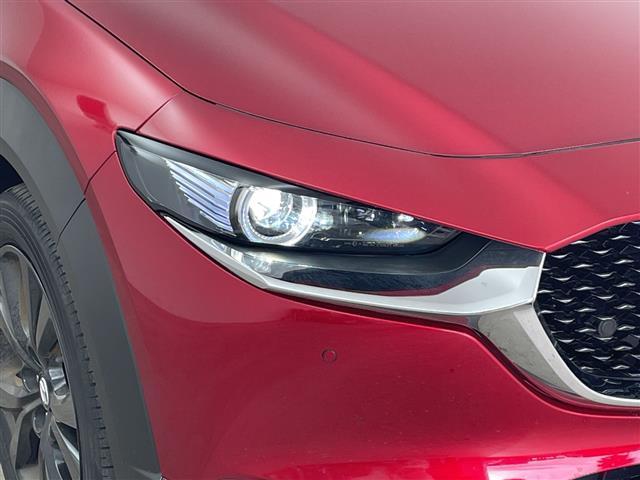 ＣＸ－３０ ＸＤ　ブラックトーンエディション　・純正ナビ＆フルセグ＆ＢＴ＆ＤＶＤ＆ＨＤＭＩ＆ＵＳＢ・３６０°モニター・パワーバックドア・スマートキー・ＥＴＣ・ＬＥＤライト・スマートブレーキサポート・ワンオーナー・純正前ドライブレコーダー（36枚目）