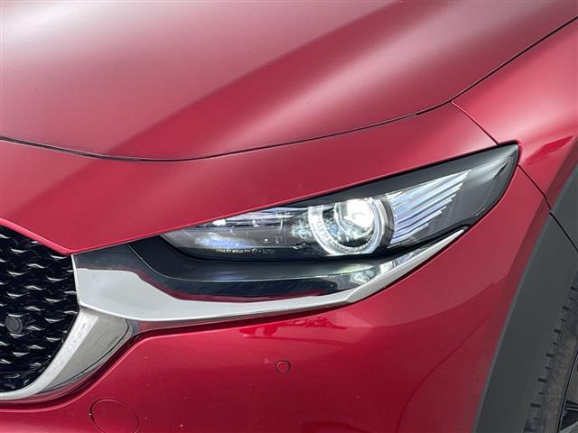 ＣＸ－３０ ＸＤ　ブラックトーンエディション　・純正ナビ＆フルセグ＆ＢＴ＆ＤＶＤ＆ＨＤＭＩ＆ＵＳＢ・３６０°モニター・パワーバックドア・スマートキー・ＥＴＣ・ＬＥＤライト・スマートブレーキサポート・ワンオーナー・純正前ドライブレコーダー（37枚目）