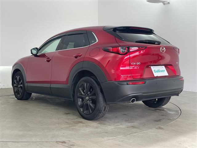 ＣＸ－３０ ＸＤ　ブラックトーンエディション　・純正ナビ＆フルセグ＆ＢＴ＆ＤＶＤ＆ＨＤＭＩ＆ＵＳＢ・３６０°モニター・パワーバックドア・スマートキー・ＥＴＣ・ＬＥＤライト・スマートブレーキサポート・ワンオーナー・純正前ドライブレコーダー（43枚目）