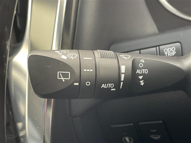 アルファード 2.5S Cパッケージ 社外10インチナビ・サンルーフ・全方位カメラ・ETC・SSR20インチアルミホイール・AXIS Stying車高調・合皮シート・前席シートヒーター・前席ベンチレーション・前席パワーシート・LTA(20枚目)