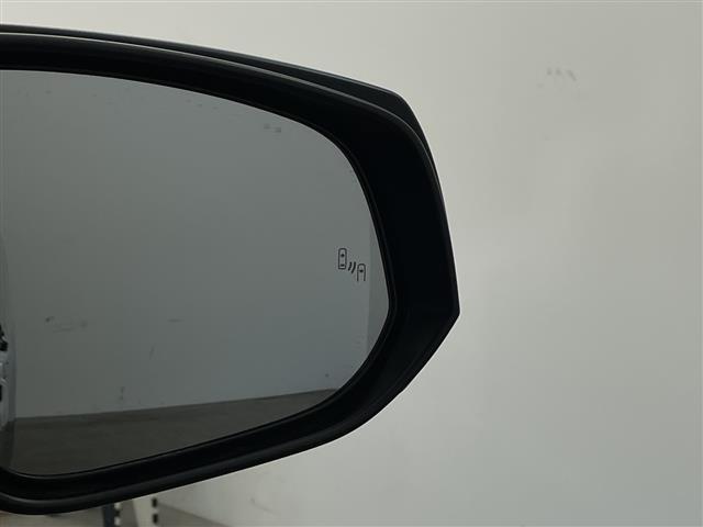 アルファード 2.5S Cパッケージ 純正ナビ TV バックカメラ サンルーフ 両側パワースライドドア カワシート シートヒーター エアシート プリクラッシュセーフティ レーントレーシングアシスト レーダークルーズコントロール 三眼LED(33枚目)