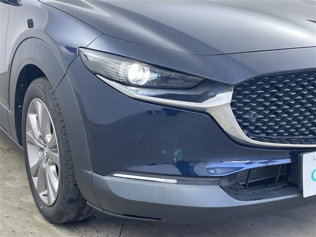 ������тm���C�P���̃K���o�[�����炱���ł��鍂������I���Q�O�Q�O�N�P���@�i���j���{�\����������������ׁi�������ÎԔ���s��̑�蔃����Ǝ҂�ΏۂƂ����u���Î����Ԕ���䐔�m���D�P�����v���j