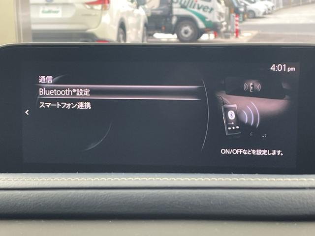 �����������̂Ɋ������܂ꂽ���ɖڌ��҂����Ȃ�������c�댯�Ȃ�����^�]�ɑ���������D�D�D����Ȏ��̖��ɗ��h���C�u���R�[�_�[����舵���Ă���܂��I���ʓr�L���ł��B