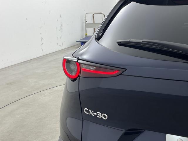 ＣＸ－３０ ２０Ｓ　プロアクティブ　ツーリングセレクション　順正ナビ　３６０°ビューモニター　ｉ－ＡＣＴＩＶＳＥＮＳＥ　スマートブレーキサポート　レーダクルコン　ＢＳＭ　電動リアゲート　ＨＵＤ　純正ドラレコ　ＬＥＤヘッドライト　純正１８インチアルミホイール（45枚目）
