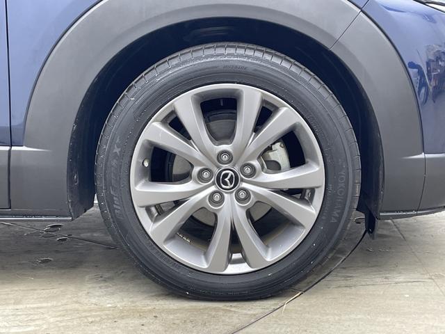 ＣＸ－３０ ２０Ｓ　プロアクティブ　ツーリングセレクション　順正ナビ　３６０°ビューモニター　ｉ－ＡＣＴＩＶＳＥＮＳＥ　スマートブレーキサポート　レーダクルコン　ＢＳＭ　電動リアゲート　ＨＵＤ　純正ドラレコ　ＬＥＤヘッドライト　純正１８インチアルミホイール（51枚目）