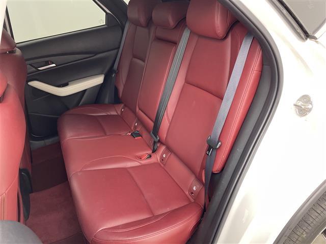 �f�ډӏ��ȊO�ɂ���]�̎ʐ^���������܂�����A���C�y�ɂ��₢���킹�������I���[����X���ł����肳���Ă��������܂��B