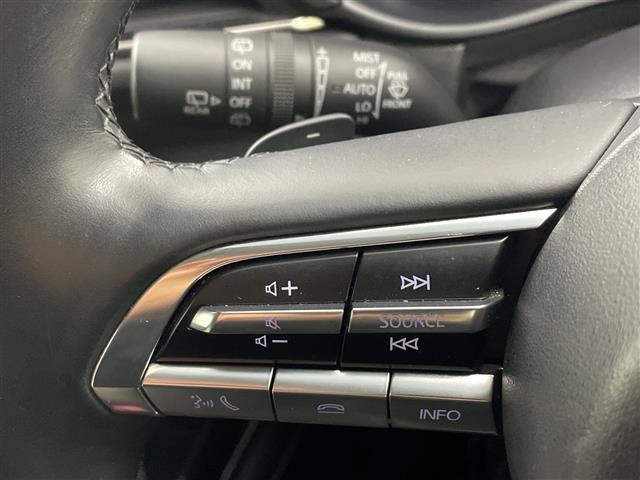 CX-30 XD プロアクティブ ツーリングセレクション ・BOSEサウンドシステム・衝突軽減ブレーキ・レーダークルーズコントロール・レーンキープアシスト・全方位カメラ・前後ドライブレコーダー・BSM・HUD・純正エアロ・コーナーセンサー・LEDライト(21枚目)