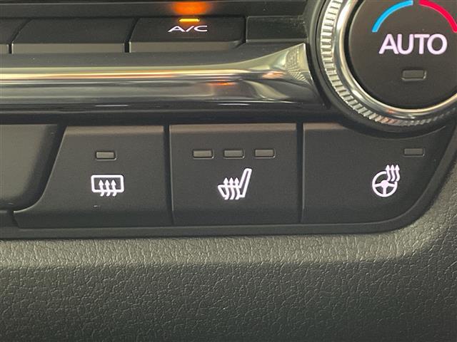 CX-30 XD プロアクティブ ツーリングセレクション ・BOSEサウンドシステム・衝突軽減ブレーキ・レーダークルーズコントロール・レーンキープアシスト・全方位カメラ・前後ドライブレコーダー・BSM・HUD・純正エアロ・コーナーセンサー・LEDライト(34枚目)