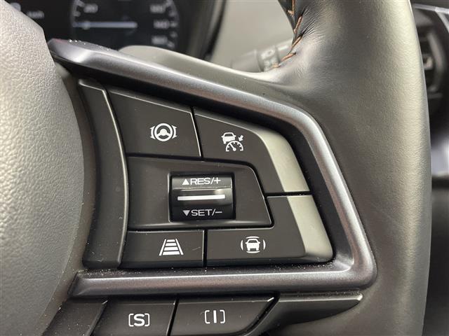 レヴォーグ　レイバック リミテッドＥＸ　純正ナビ　全方位カメラ　アイサイト　衝突軽減　先行車発進告知機能　車線逸脱防止機能　オートビークルホールド　パワーバックドア　レーダクルコン　パワーシート　シートヒーター　スペアキー　ＥＴＣ（21枚目）