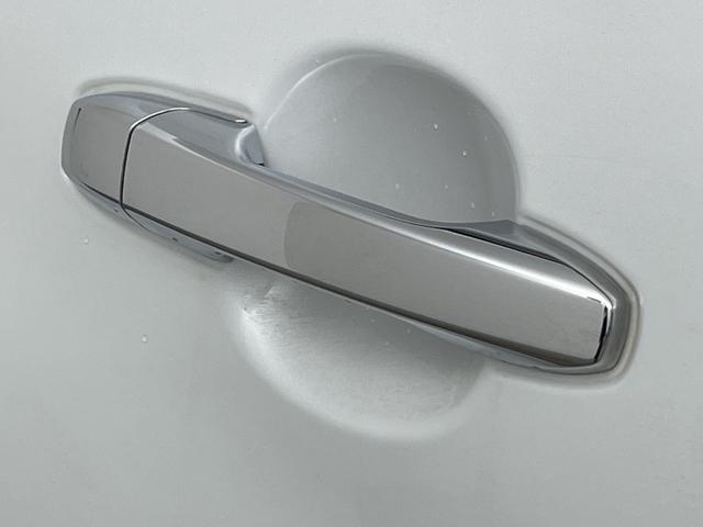 ライズ Ｚ　・純正９インチディスプレイオーディオ（ＢＴ／ＵＳＢ／ＴＶ／Ａｐｐｌｅｃａｒｐｌａｙ／ＡｎｄｒｏｉｄＡｕｔｏ）・モデリスタエアロ（フロント／サイド／リア）・衝突回避支援ブレーキ・レーンキープアシスト（46枚目）