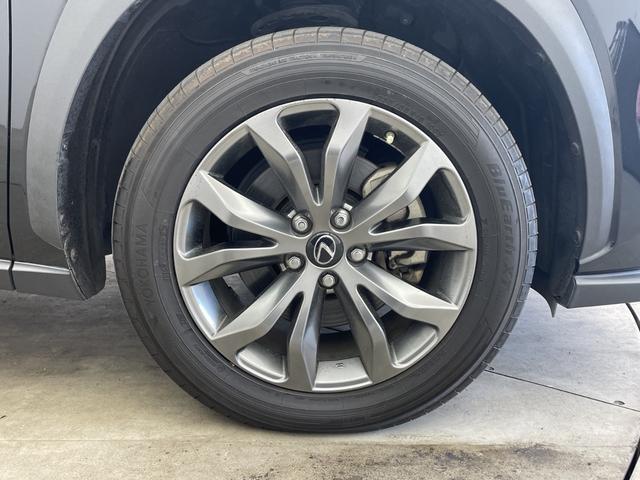 ���w�b�h���C�g�E�z�C�[���E�t�����g�K���X�ȂǐF�X�ȕ����̃R�[�e�B���O�����p�ӂ��Ă���܂��I