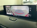 ＸＤ－ハイブリッド　エクスクルーシブスポーツ　・ＢＯＳＥサウンドシステム・１２．３型ナビ＆フルセグ＆ＢＴ＆ＨＤＭＩ＆Ａｐｐｌｅｃａｒｐｌａｙ＆ハンズフリーパワーバックドア・置くだけ充電・前後ドラレコ・前席シートベンチレーション・全席シートヒーター（25枚目）