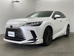 ٤ϥСκ߸ˤĺޤơͭ񤦸¤ޤ 2