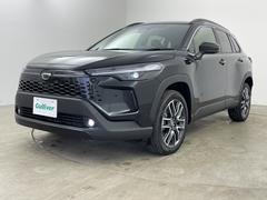 �����٤ϥ���С��κ߸ˤ���ĺ���ޤ��ơ�ͭ���񤦸�¤��ޤ��� 2