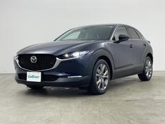 �����٤ϥ���С��κ߸ˤ���ĺ���ޤ��ơ�ͭ���񤦸�¤��ޤ��� 2