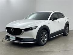 �ץ饤��Ծ��졪����С����롼�פ������󣴣���Ź�ޢ��Υͥåȥ��������������ǯ����� 3