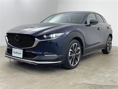 �����٤ϥ���С��κ߸ˤ���ĺ���ޤ��ơ�ͭ���񤦸�¤��ޤ��� 2