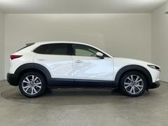 ���̳�ƻ�����̡����졢��������������񡢻͹񡢶彣�����졢������Ϥɤ�����Ǥ��б���ǽ�Ǥ����������ڤ˥���С��ˤ����ڤˤ����̤����������� 7