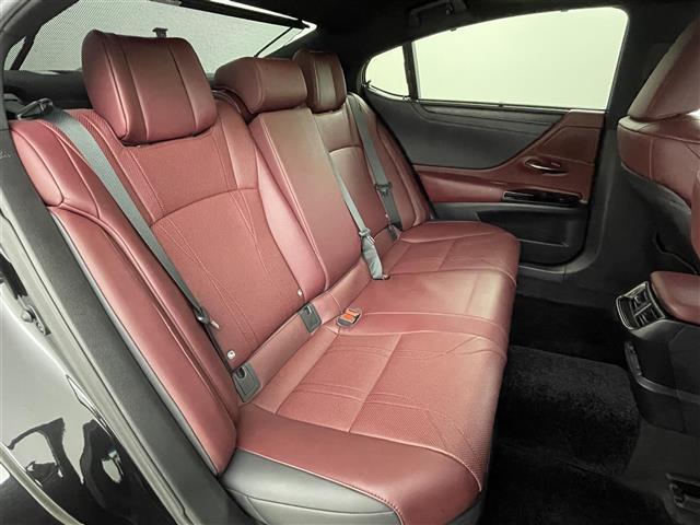 ＥＳ ＥＳ３００ｈ　グレイスフルエスコート　パノラミックビュー　ブラインドスポットモニター　サンルーフ　マークレビンソンプレミアムサウンド　純正１２．３インチディスプレイオーディオ　フルセグＴＶ／ＢＴ／ＦＭ／ＡＭ／ミラーキャスト　前後ドラレコ（10枚目）