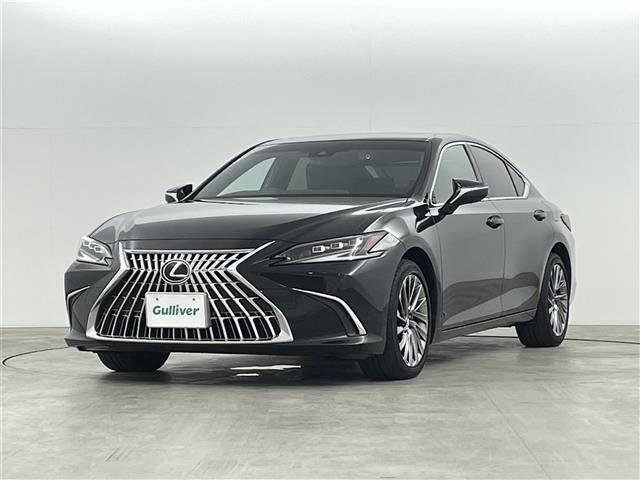 ＥＳ ＥＳ３００ｈ　グレイスフルエスコート　パノラミックビュー　ブラインドスポットモニター　サンルーフ　マークレビンソンプレミアムサウンド　純正１２．３インチディスプレイオーディオ　フルセグＴＶ／ＢＴ／ＦＭ／ＡＭ／ミラーキャスト　前後ドラレコ（14枚目）