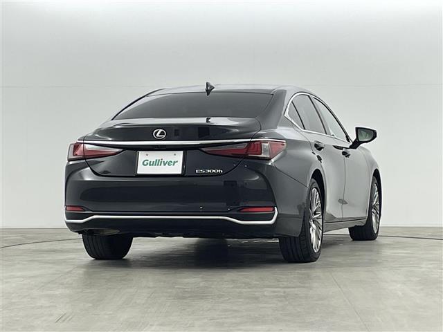 ＥＳ ＥＳ３００ｈ　グレイスフルエスコート　パノラミックビュー　ブラインドスポットモニター　サンルーフ　マークレビンソンプレミアムサウンド　純正１２．３インチディスプレイオーディオ　フルセグＴＶ／ＢＴ／ＦＭ／ＡＭ／ミラーキャスト　前後ドラレコ（15枚目）